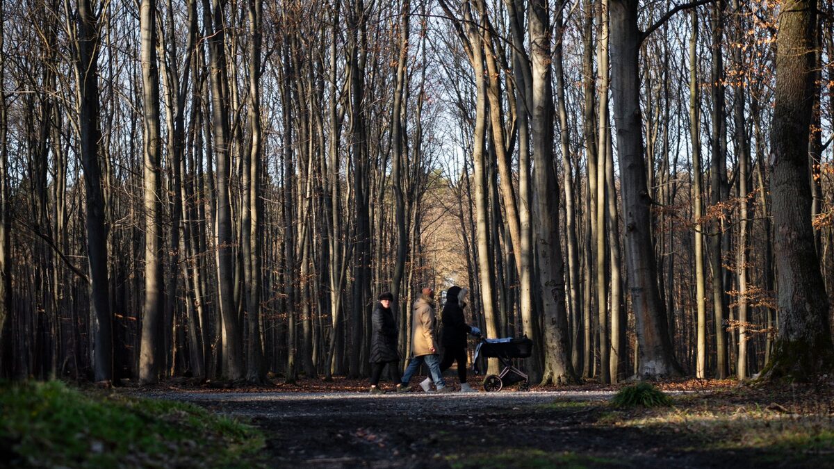 Hessen, Herbstferien, Schulferien