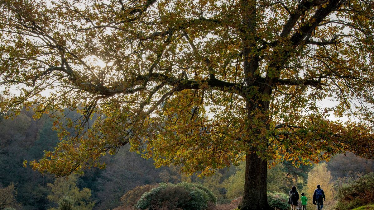 Mecklenburg-Vorpommern, Herbstferien, Schulferien