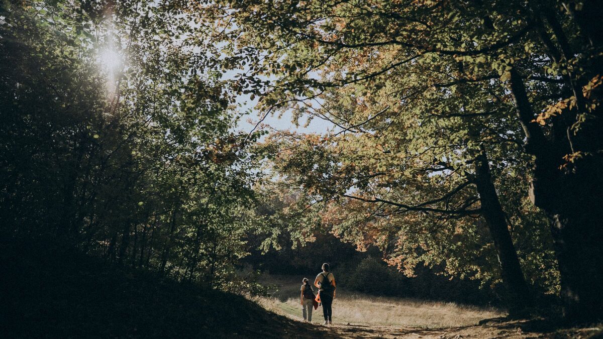 Niedersachsen, Herbstferien, Schulferien