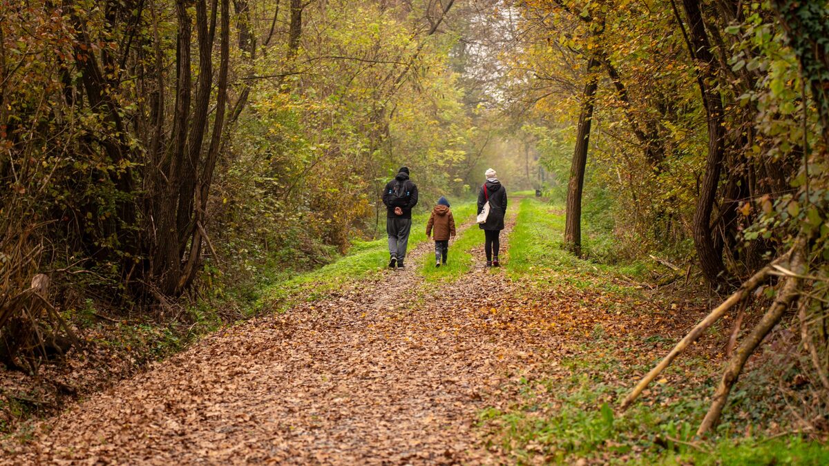 Saarland, Herbstferien, Schulferien